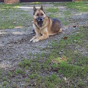 Meet your Posher, Lynn